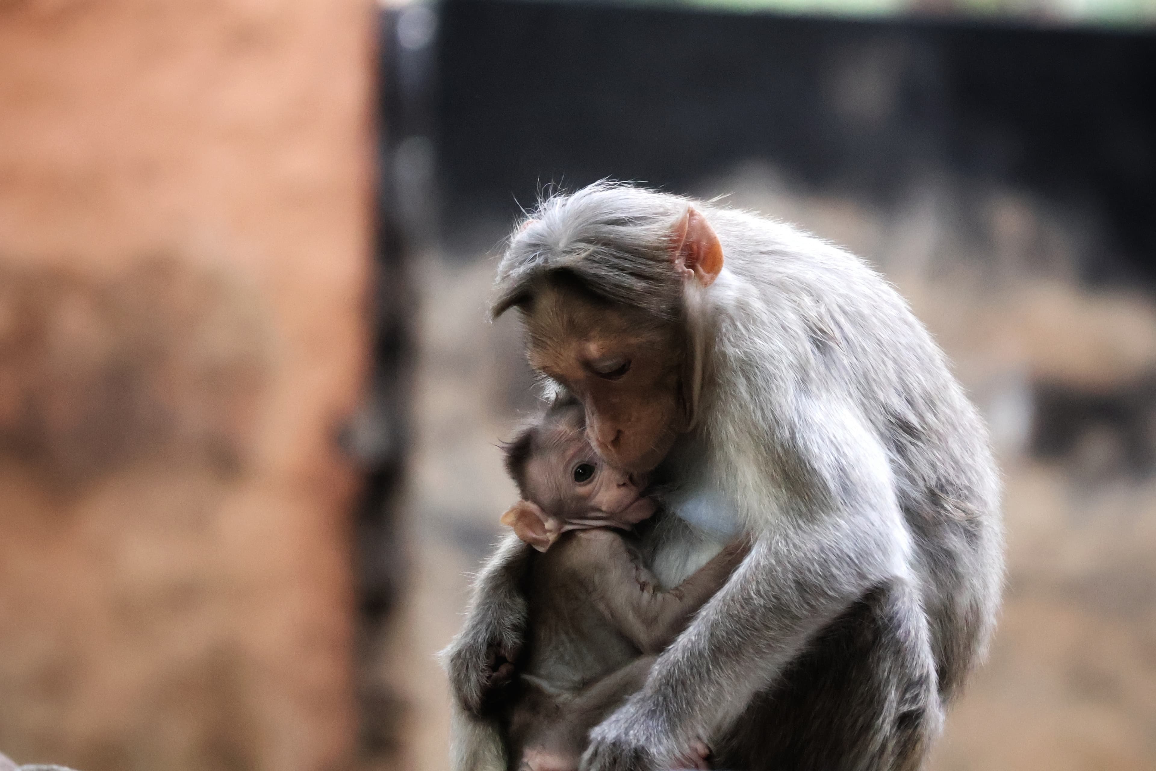 House above the clouds